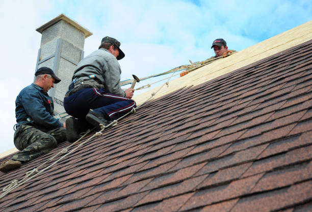 Best Roof Gutter Cleaning  in Waawa, HI