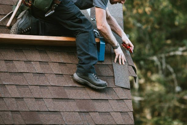 Best Roof Gutter Cleaning  in Waawa, HI